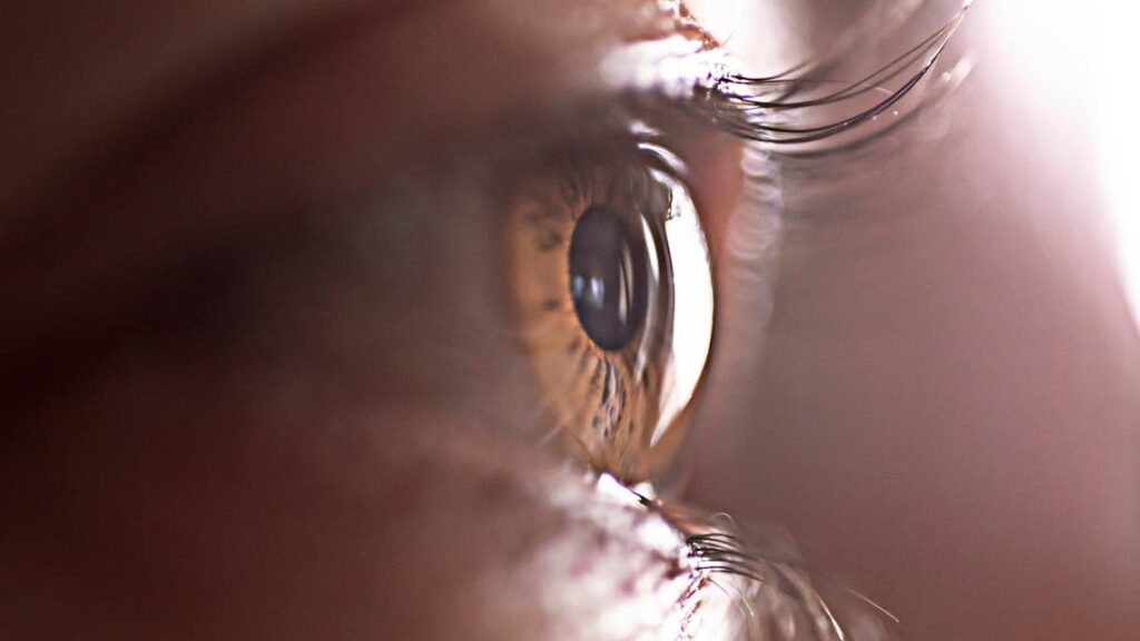 كيف تحمي طفلك من مرض التراخوما المسبب للعمى .. احذر الأماكن المزدحمة